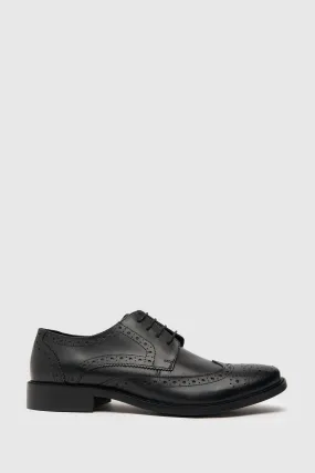 Schuh - Rowland - Scarpe brogue in pelle